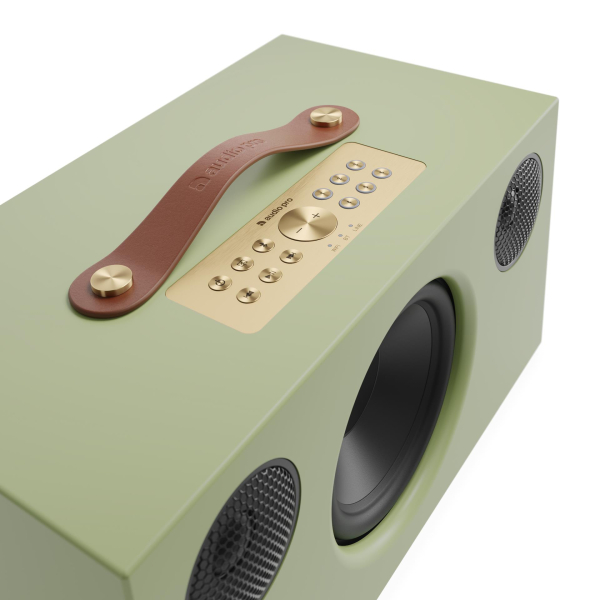 Купить AUDIO PRO C10 MkII Sage Green